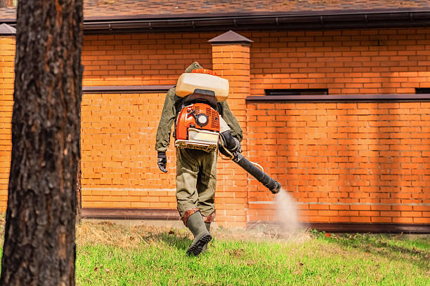 Trusted Bed Bug Control service in Pennsboro, WV - Nex Pest Control
